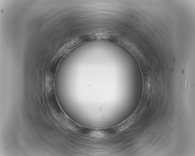 X0000087540218200705112104