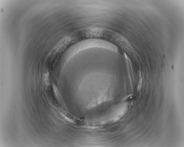 X0000087540224200705112104