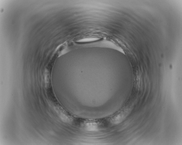 X0000087540228200705112104