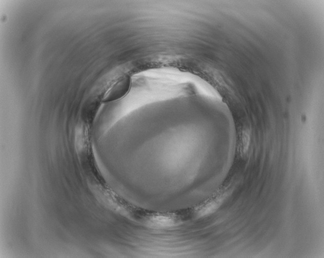 X0000087540236200705112104