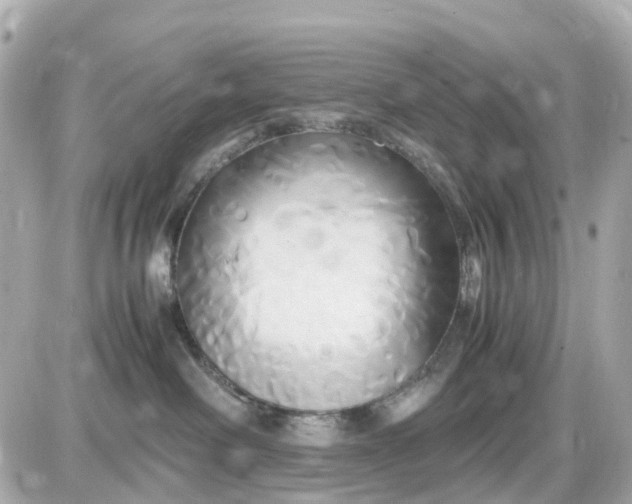 X0000087540238200705112104