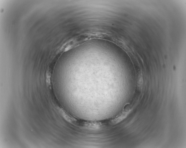 X0000087540282200705112104