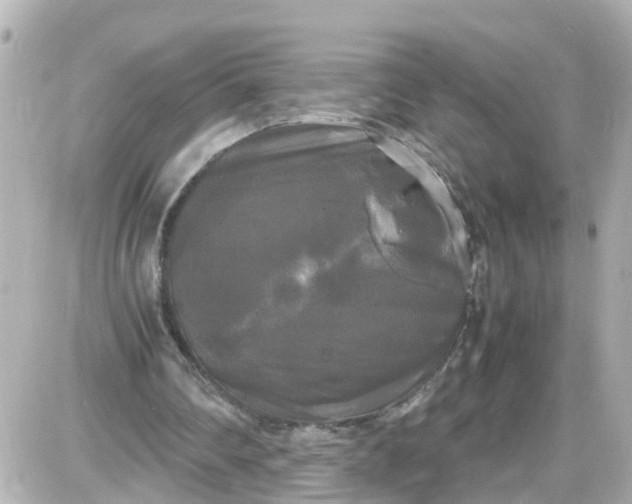 X0000087540290200705112103