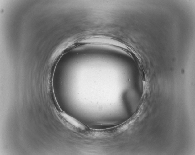 X0000087540293200705112103