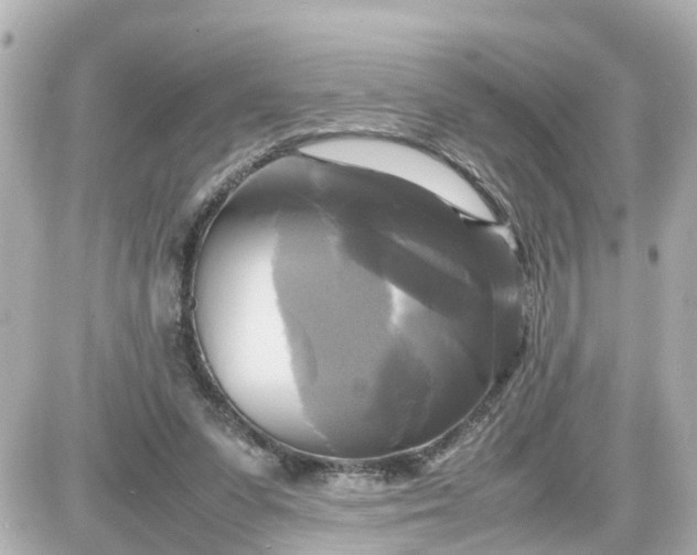 X0000087540303200705112103