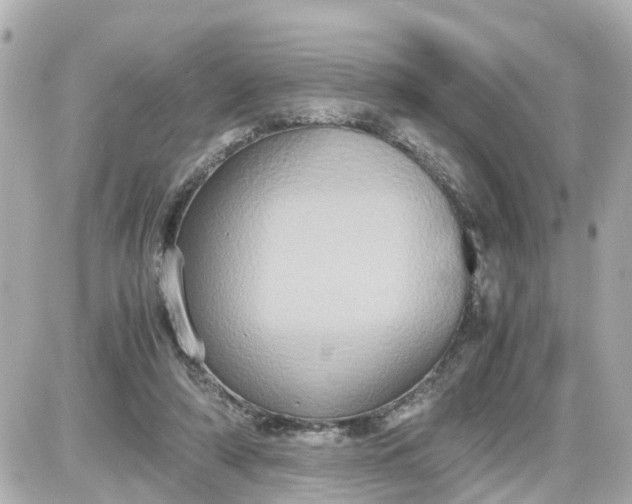 X0000087540306200705112103