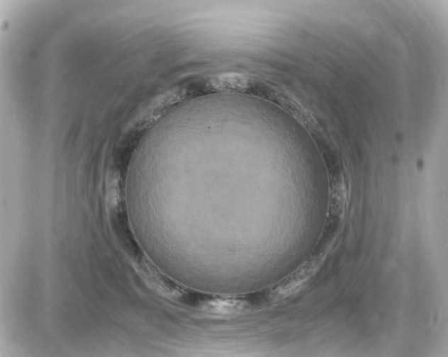 X0000087540323200705112103