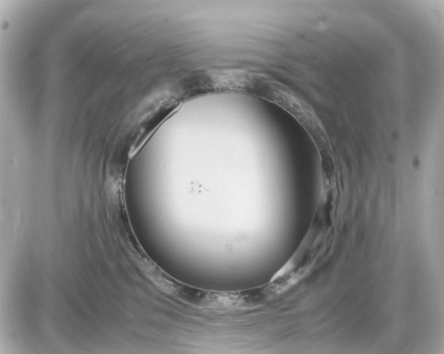 X0000087540329200705112103