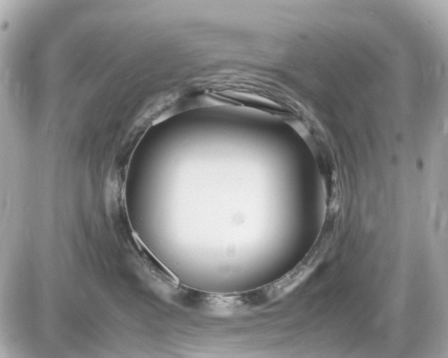 X0000087540333200705112102