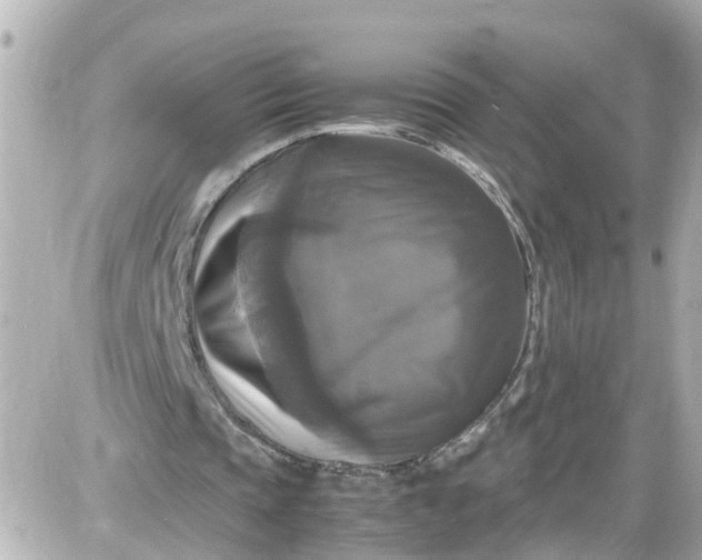 X0000087540337200705112102