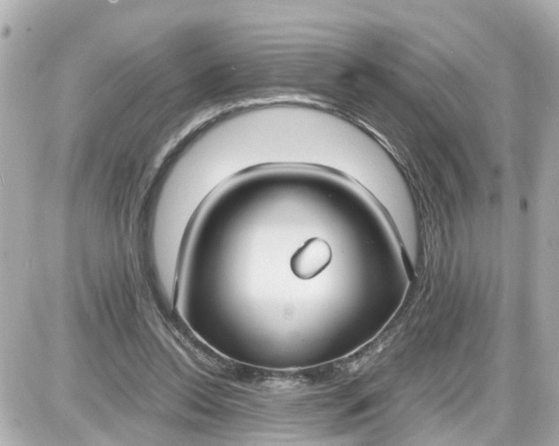X0000087540350200705112102