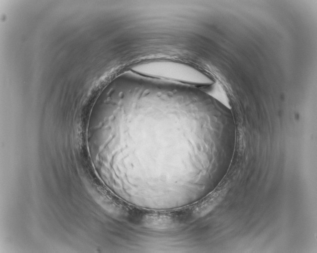 X0000087540354200705112102