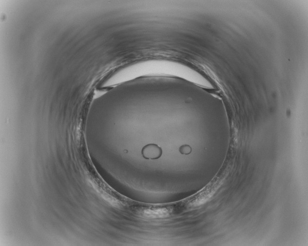 X0000087540357200705112102