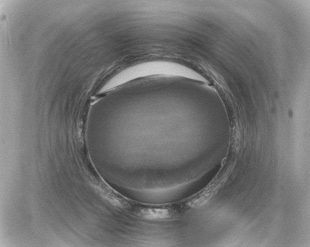 X0000087540361200705112102
