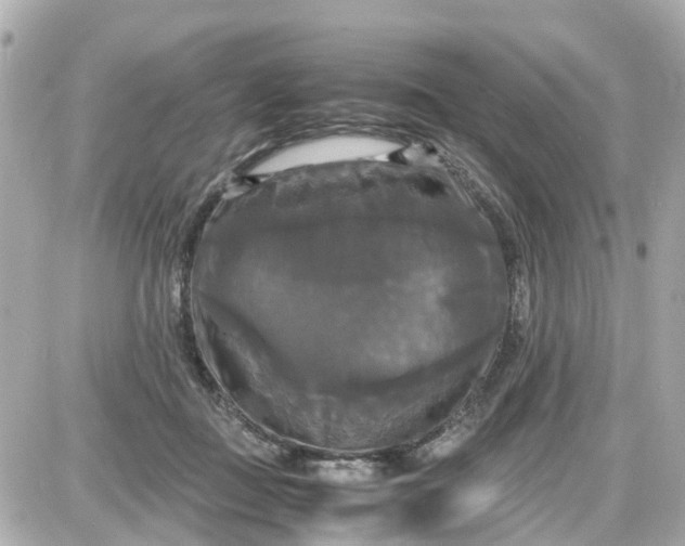 X0000087540363200705112102