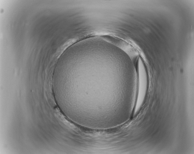 X0000087540385200705112102