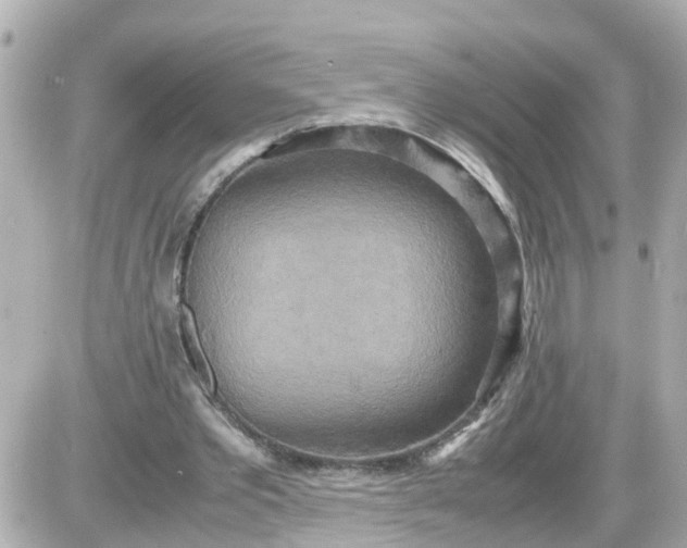 X0000087540389200705112102