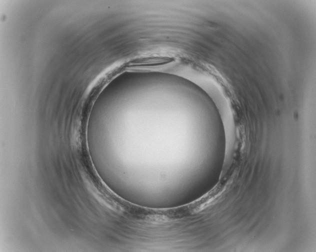 X0000087540392200705112101