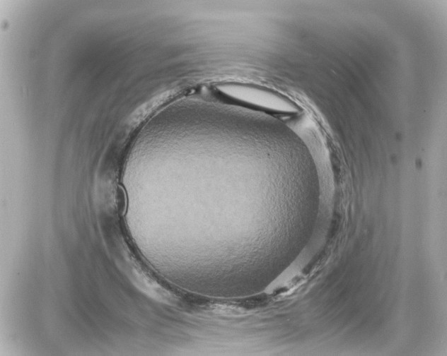 X0000087540393200705112101