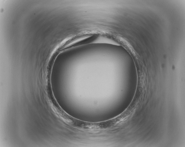 X0000087540395200705112101