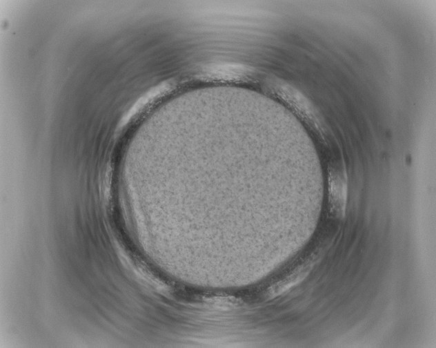 X0000087540396200705112101