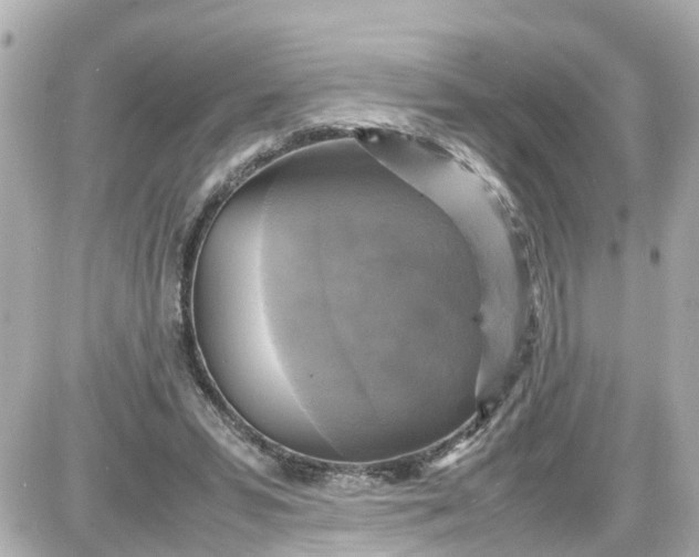 X0000087540399200705112101