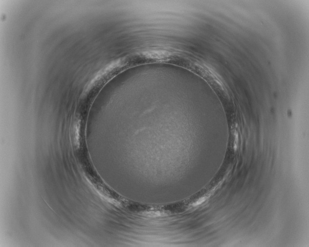 X0000087540404200705112101