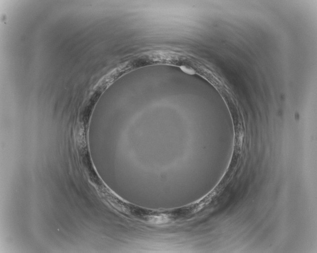 X0000087540411200705112101