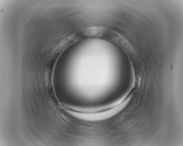 X0000087540416200705112101