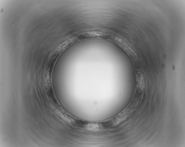 X0000087540418200705112101
