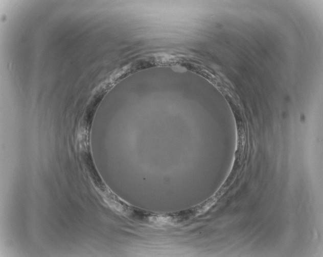 X0000087540419200705112101