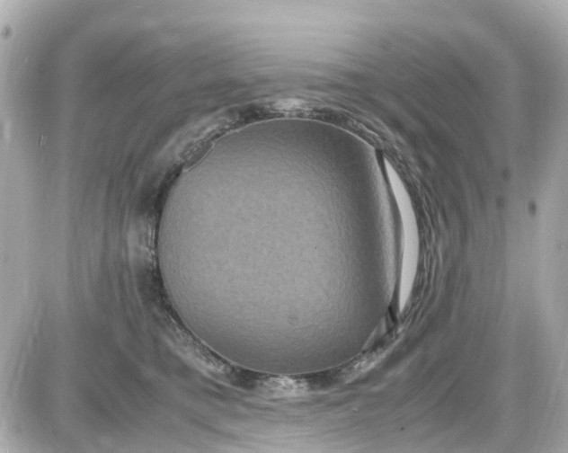 X0000087540421200705112101