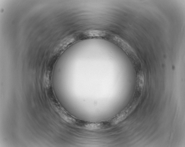 X0000087540422200705112101