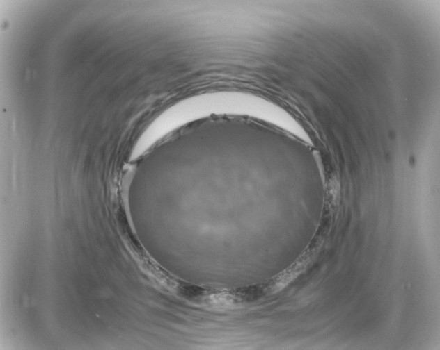 X0000087540423200705112101