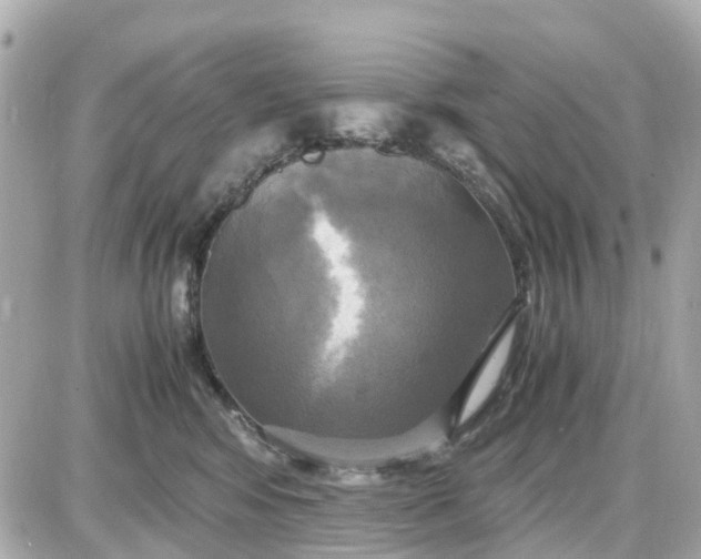 X0000087540424200705112101