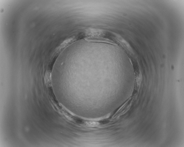 X0000087540429200705112101