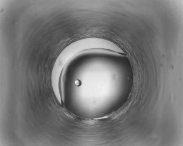 X0000087540432200705112101