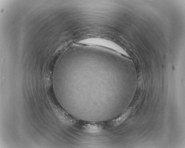 X0000087540464200705112101