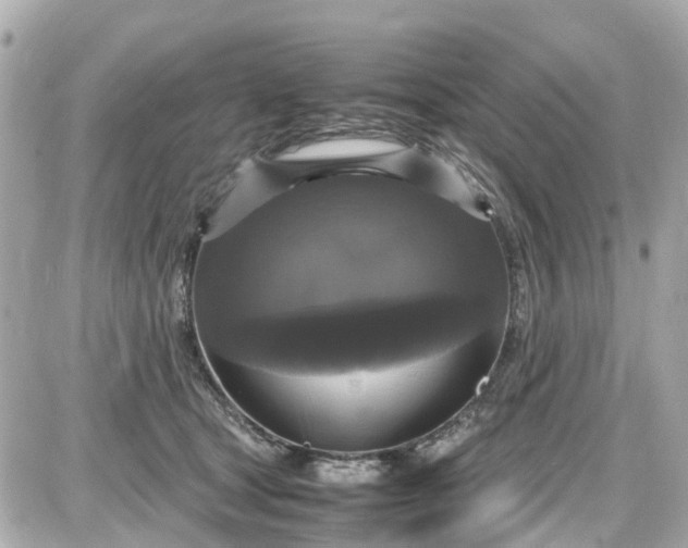 X0000087540465200705112101