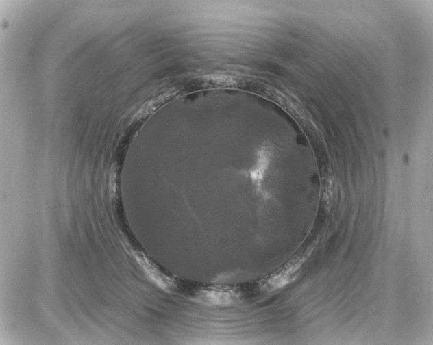 X0000087540466200705112101