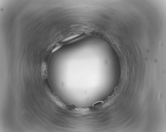 X0000087540480200705112101