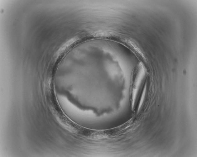 X0000087540491200705112100