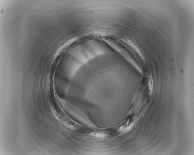 X0000087540492200705112100