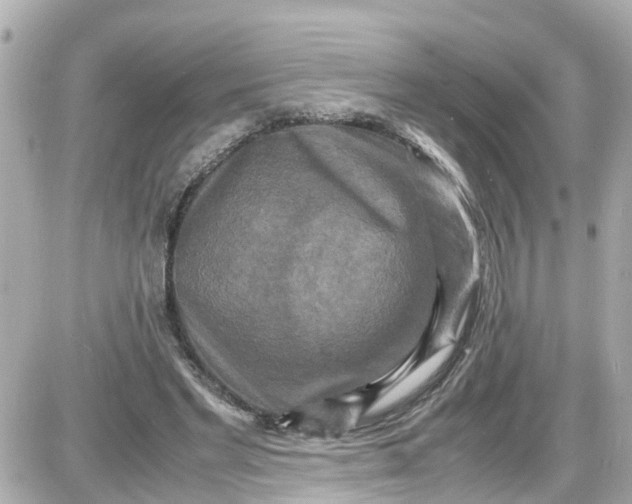 X0000087540493200705112100