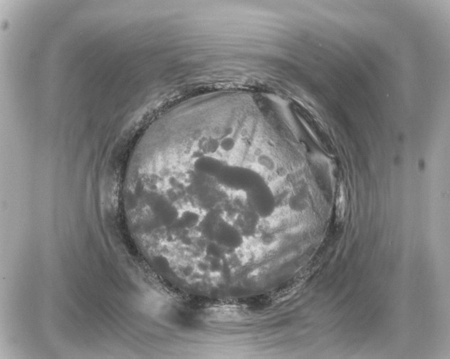 X0000087540499200705112100