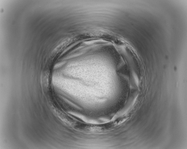 X0000087540501200705112100