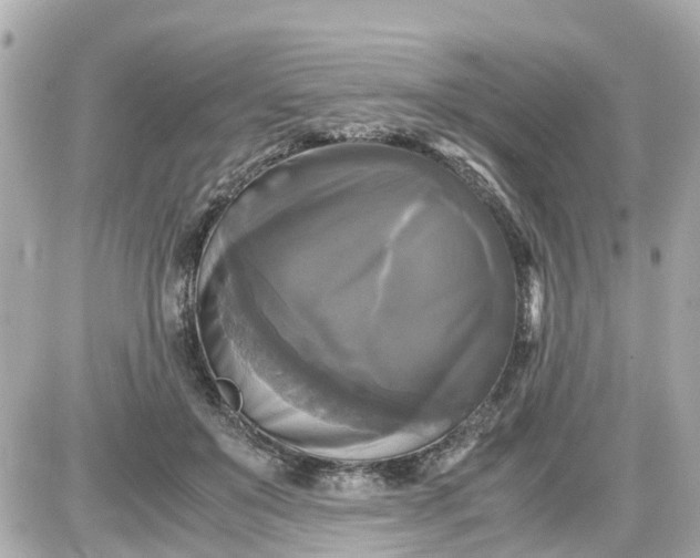 X0000087540503200705112100