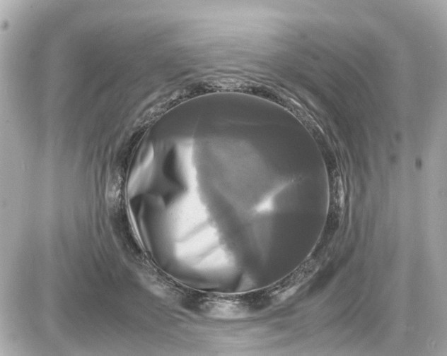 X0000087540507200705112100