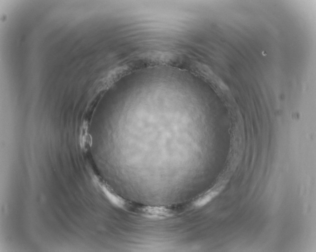 X0000087540528200705112059