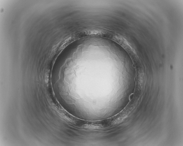 X0000087540545200705112059